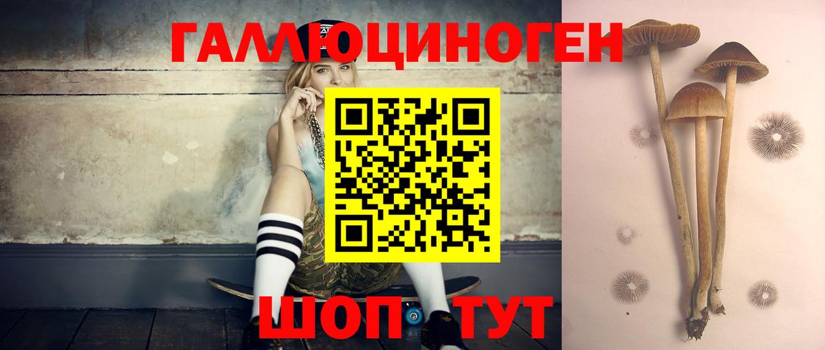 Галлюциногенные грибы Psilocybe  хочу наркоту  Горно-Алтайск  Вход с VPN 
